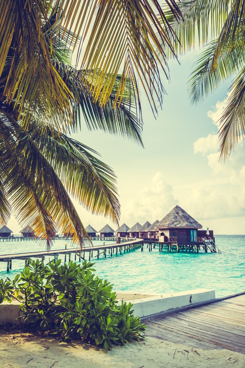 maldives-island_74190-2023